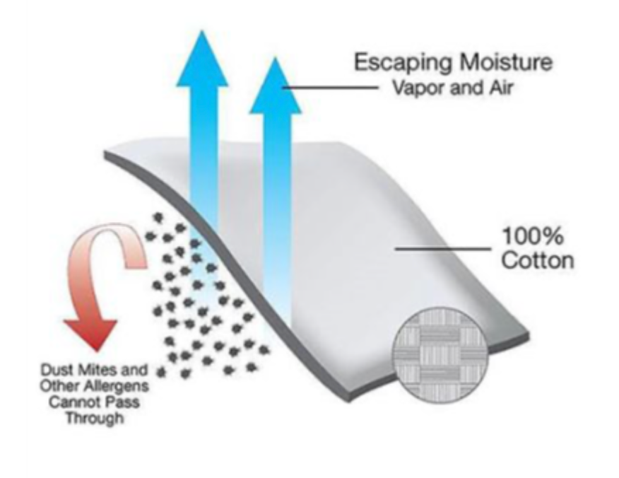 Organic All-Cotton mattress encasements and pillow encasings are made of unbleached 100% GOTS (Global Organic Textile Standard) Certified Organic Cotton, so you know you have the best quality available. Anti-allergy mattress covers are one of the most doctor-recommended ways to reduce dust mite allergen exposure and get protection from bed bugs. What&
