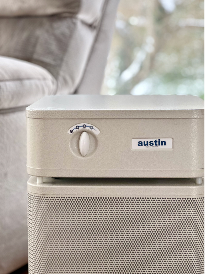 Health Mate Plus by Austin Air.  The Medical Grade HEPA used in the Austin Air Healthmate Plus® effectively removes up to 99% of bacteria and aerosolized viruses* as small as 0.1 microns. It also eliminates a wide range of gases, chemicals, VOCs and formaldehyde. This broad-spectrum adsorption makes it the best choice for people exposed to smoke from wildfires.